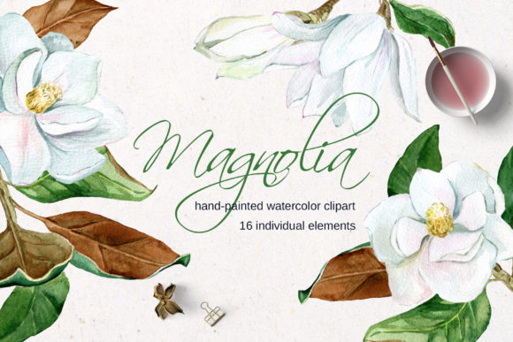 Download White Watercolor Magnolia Flower Clipart - White Collection
