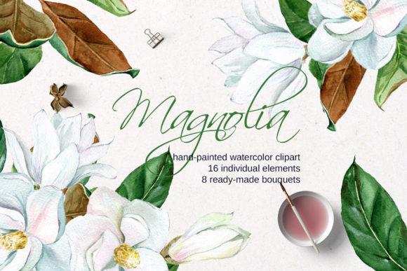 Download White Watercolor Magnolia - White Collection