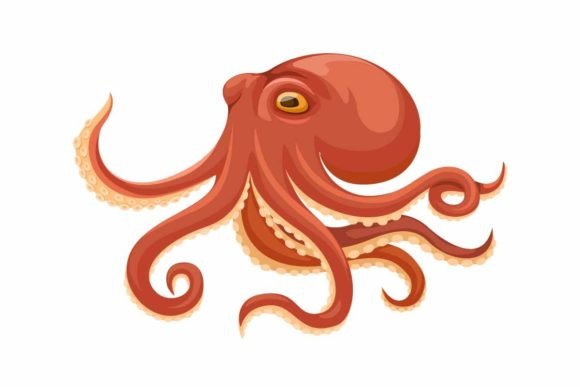 Download Octopus Aquatic Animal Cartoon Vector - Aquatic Collection